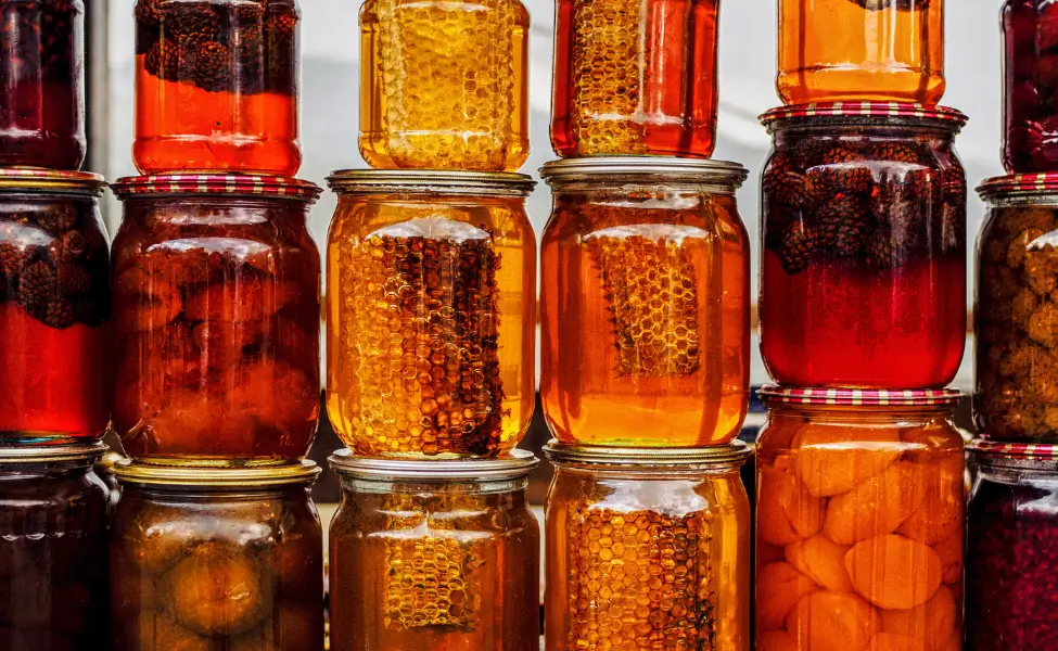 Canning for beginners fruits and jams