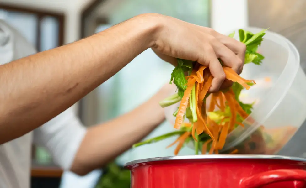 Vegetable Scrap Broth