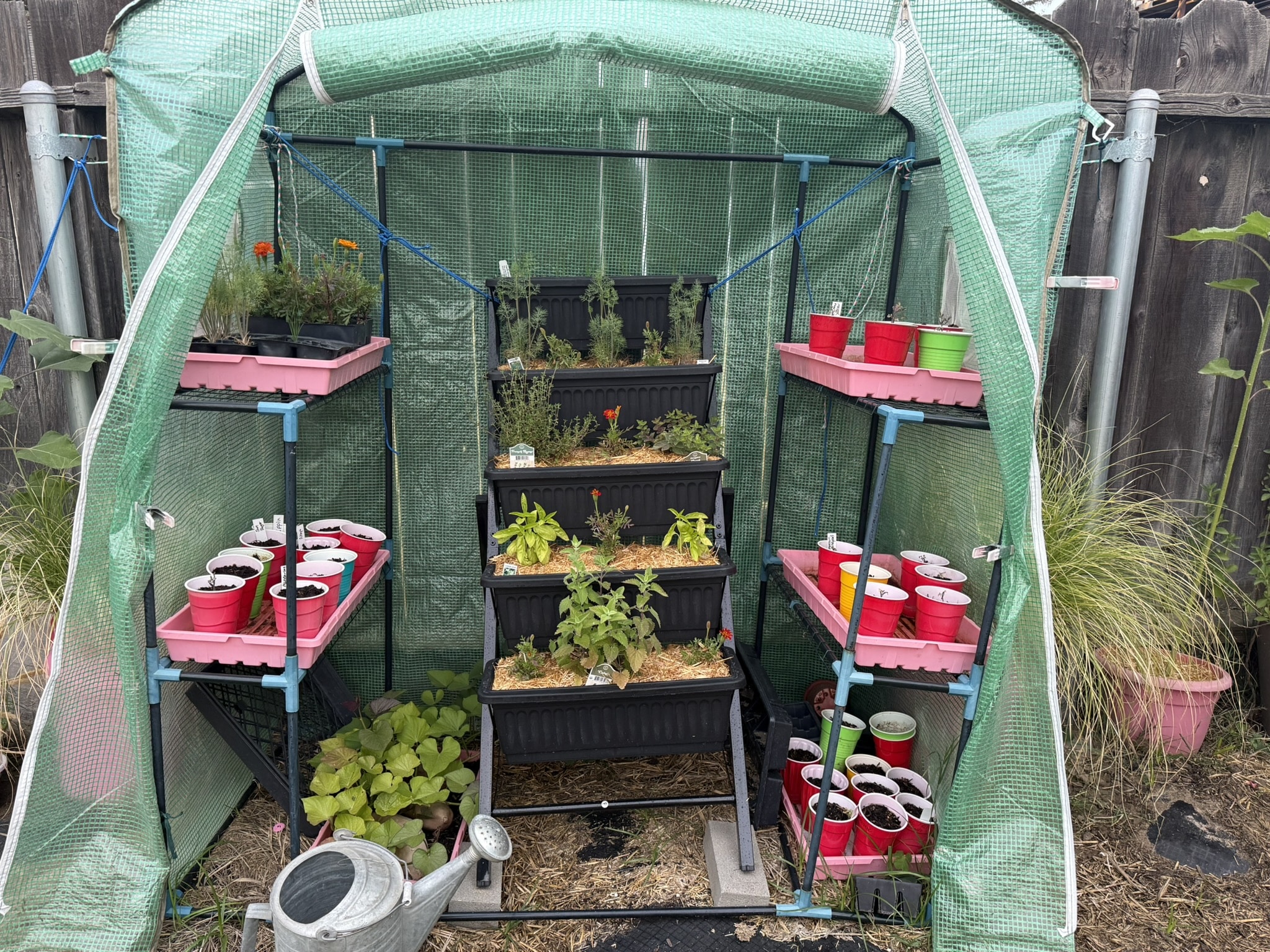 herb garden
